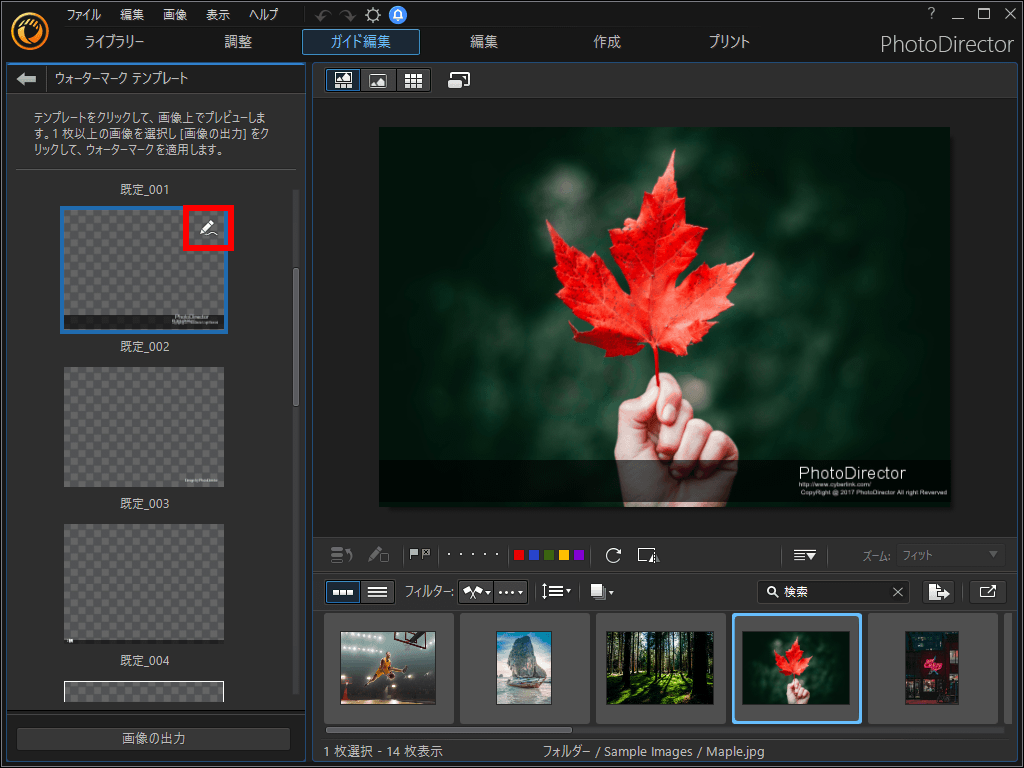 Photodirectorの評価 使い方 フリーソフト100