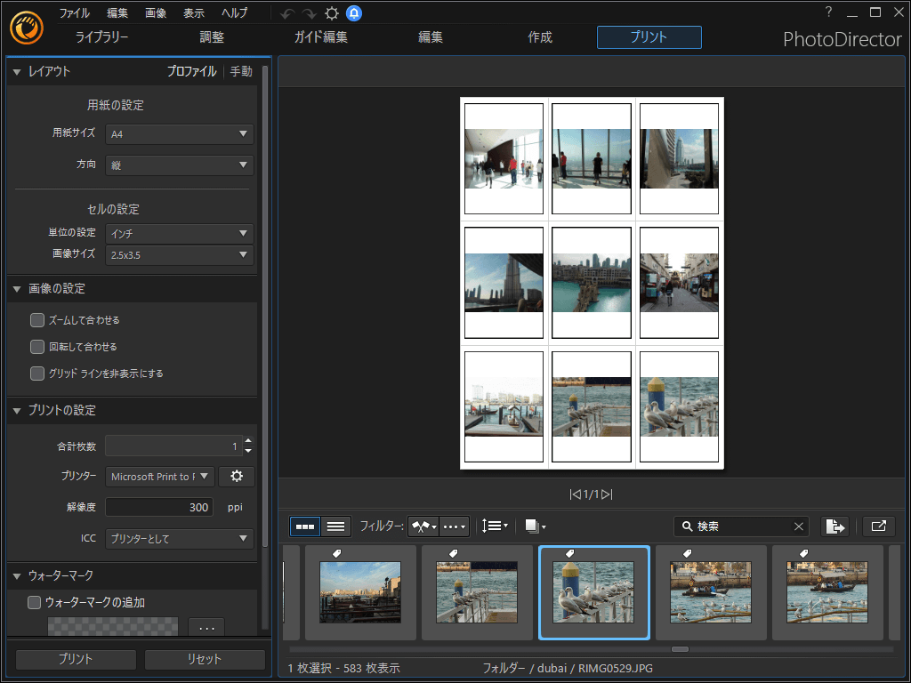 Photodirectorの評価 使い方 フリーソフト100