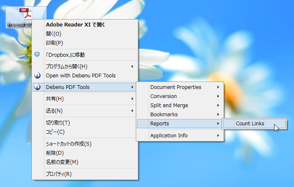 「Debenu PDF Tools」⇒「Reports」⇒「Count Links」