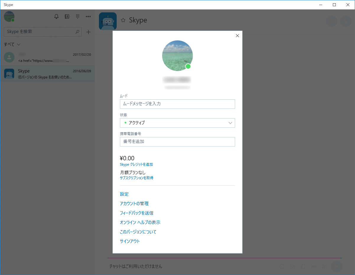 Skypeのスクリーンショット フリーソフト100