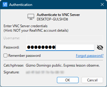 VNC 接続用のパスワード入力