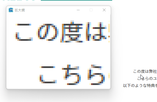 拡大鏡（6倍表示）