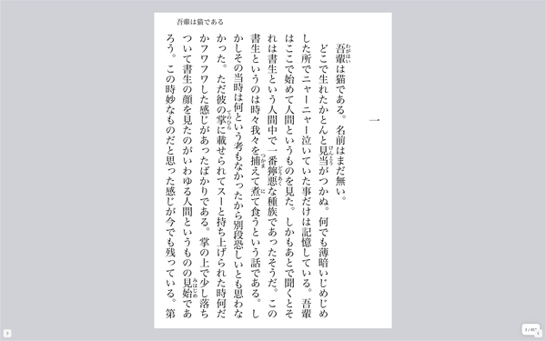 全画面表示 全画面表示